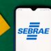 Sebrae deste estado abre processo seletivo com salários de até R$ 6.500; veja como participar!